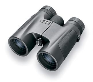 Бинокль Bushnell Powerview 10X42, призмы Roof
