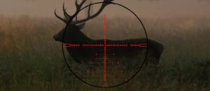 Прицельная сетка AM9