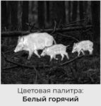 Цветовая палитра белый горячий