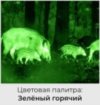Цветовая палитра зеленый горячий