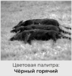 Цветовая палитра черный горячий