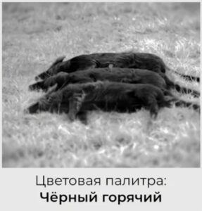 Цветовая палитра черный горячий